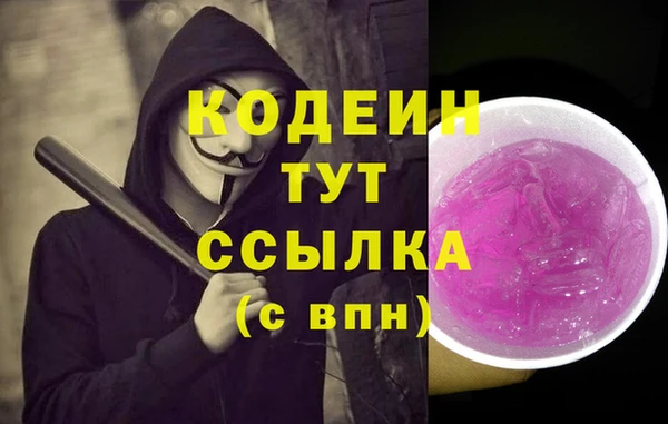spice Богородск