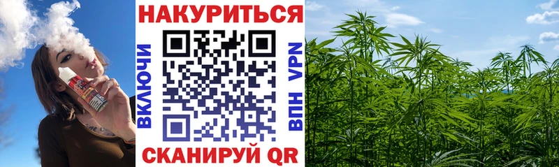 где купить наркоту Заозёрск OMG ТОР Конопля планчик